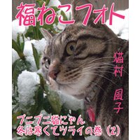福ねこフォト～プニプニ猫にゃん　冬は寒くてツライの巻（2）