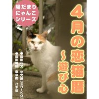 恋猫暦～4月編 遊び心