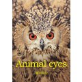 Animal eyes