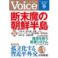 Voice 26N9