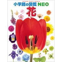 小学館の図鑑NEO　花