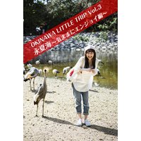 OKINAWA LITTLE TRIP Vol.3 永夏海 2 ～気ままにエンジョイ編～