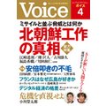 Voice 30N4