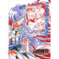 小説 ハートキャッチプリキュア 電子書籍 ひかりtvブック