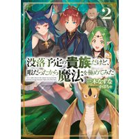 没落予定の貴族だけど 暇だったから魔法を極めてみた２ 電子書籍限定書き下ろしss付き 電子書籍 ひかりtvブック