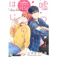 嘘つきは恋のはじまり 電子書籍 ひかりtvブック 嘘つきは恋のはじまり 電子書籍 ひかりtvブック