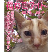 福ねこフォト〜プニプニ猫にゃん　猫だってお花見するにゃんの巻（3）