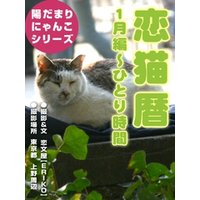 恋猫暦～1月編 ひとり時間