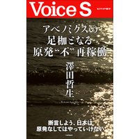 アベノミクスの足枷となる原発“不”再稼動 【Voice S】