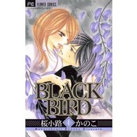 BLACK BIRD（４）