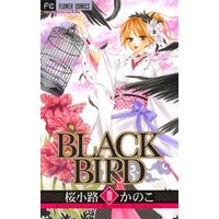 BLACK BIRD（１０）