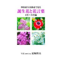 四枚組写真構成で見る誕生花と花言葉４〜５月編