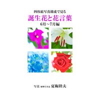 四枚組写真構成で見る誕生花と花言葉６~７月編