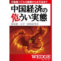 中国経済の危うい実態（WEDGEセレクション No.22）