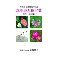 四枚組写真構成で見る誕生花と花言葉８～９月編