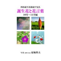 四枚組写真構成で見る誕生花と花言葉１０~１１月編