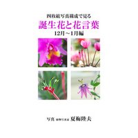 四枚組写真構成で見る誕生花と花言葉１２~１月編