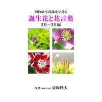 四枚組写真構成で見る誕生花と花言葉２~３月編