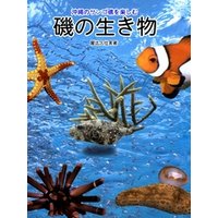 沖縄のサンゴ礁を楽しむ磯の生き物