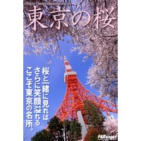 Tokyo Cherry Blossom　東京の桜　～東京タワー編～