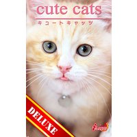 cute cats DELUXE04 マンチカン