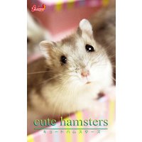 cute hamsters01 ジャンガリアンハムスター