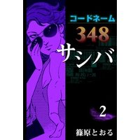 コードネーム348 サシバ　（2）