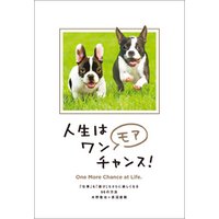 ひかりtvブック 人生はワンモアチャンス 仕事 も 遊び もさらに楽しくなる66の方法 ひかりtvブック