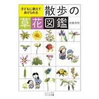 散歩の草花図鑑