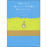 植えこみに刺さっていた子猫を飼うことにした。