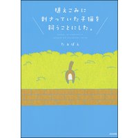 植えこみに刺さっていた子猫を飼うことにした。