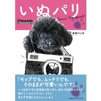 いぬパリ