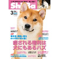 Shi-Ba 2017年3月号　Vol.93