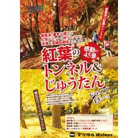 東海ウォーカー特別編集　紅葉のトンネル&じゅうたん感動の45景