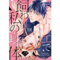 ひかりtvブック ラブチーク アトリエで飼われる私の身体 先生 淫らにイカせてください 15話 ひかりtvブック