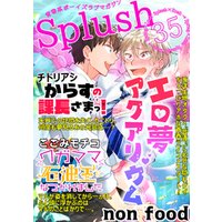 Splush vol.35　青春系ボーイズラブマガジン