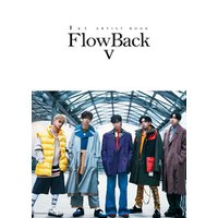 1st ARTIST BOOK 　FlowBack V -ヴィーディ-