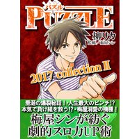 PUZZLE 2017collectionII