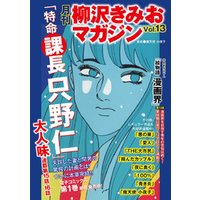月刊　柳沢きみおマガジン　Vol.13