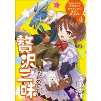 ひかりtvブック 贅沢三昧したいのです 転生したのに貧乏なんて許せないので 魔法で領地改革４ 電子書店共通特典ss付 ひかりtvブック