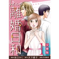 ひかりtvブック わたしの離婚日和 分冊版 3 ひかりtvブック