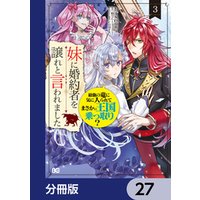 妹に婚約者を譲れと言われました　最強の竜に気に入られてまさかの王国乗っ取り？【分冊版】　27