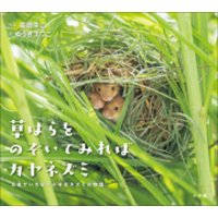 草はらをのぞいてみればカヤネズミ　～日本でいちばん小さなネズミの物語～（小学館の図鑑NEOの科学絵本）