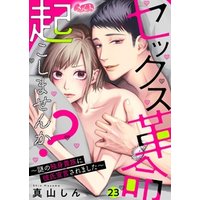 セックス革命起こしませんか？ ？謎の独身貴族に彼氏宣言されました？