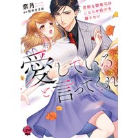 愛していると言ってくれ　寡黙な御曹司はこじらせ処女を離さない【単行本版】【電子限定ペーパー付】