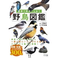 散歩や旅先で出会う野鳥図鑑