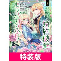 王太子に婚約破棄されたので、もうバカのふりはやめようと思います 特装版 5巻